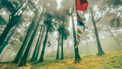 family_tour_packages_north_east_tour_packages_customized_tour_packages_personalized_family_tour_packages_darjeeling_holiday_tour