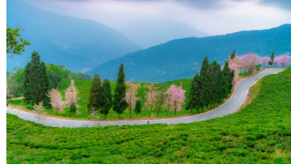 weekend_tour_packages_customized_tour_packages_personalized_tour_holidays_sikkim_tour_packages