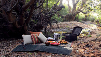personalized_holidays_customized_tour_packages_north_india_tour_packages_wildlife_tour_packages