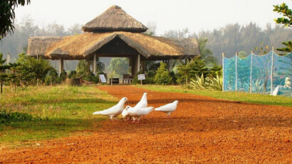 boutique-beach-stay-tajpur
