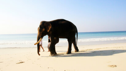 radhanagar-beach-havelock-andaman-best-beaches-india-travel-package
